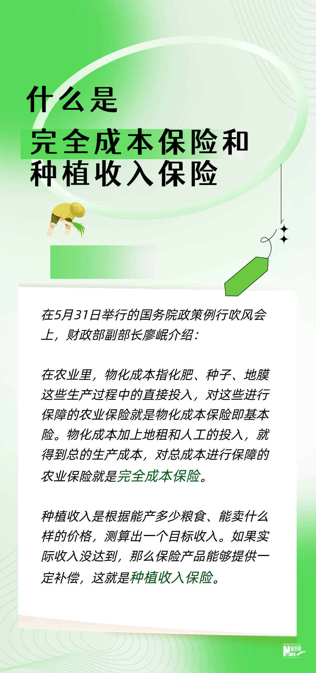 三大粮食作物“双保险”全面实施 为种粮农民带来哪些保障