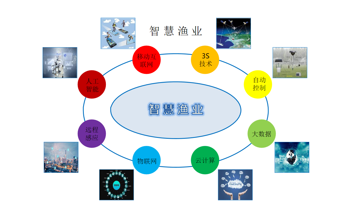 如何让渔业更“智慧”？新质生产力赋能科技人才双路径