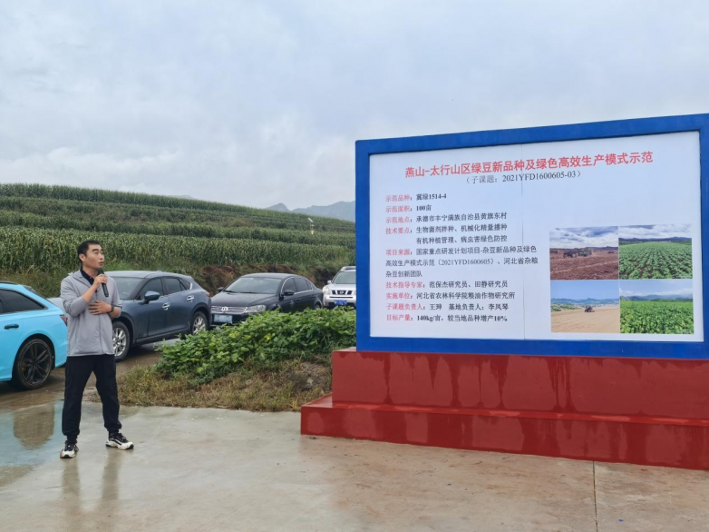 绿豆新品种新技术示范观摩会在河北丰宁举行