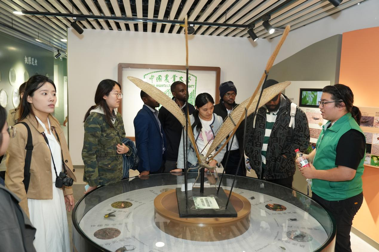 2025WAFI｜“全球青年论坛”嘉宾校园巡游活动举行