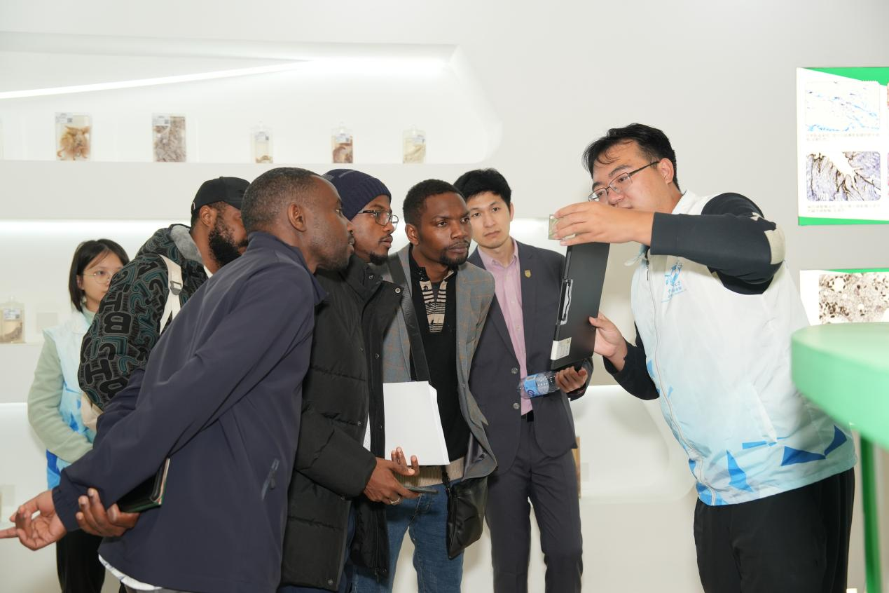 2025WAFI｜“全球青年论坛”嘉宾校园巡游活动举行