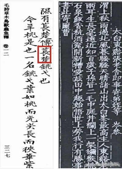 国产猕猴桃的前世今生：从《诗经》走来，靠科技变甜