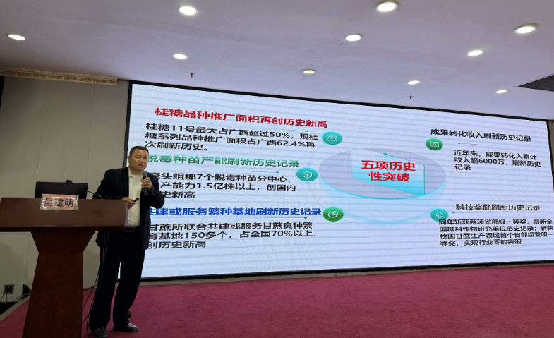 蔗田里的“科技密码”：桂糖新品种凭啥成 “顶流”