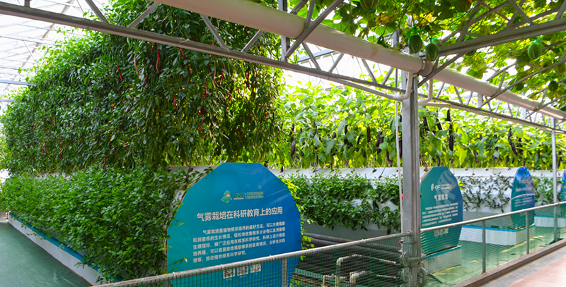 第27届中国（寿光）国际蔬菜科技博览会开幕，多款农用机器人上岗