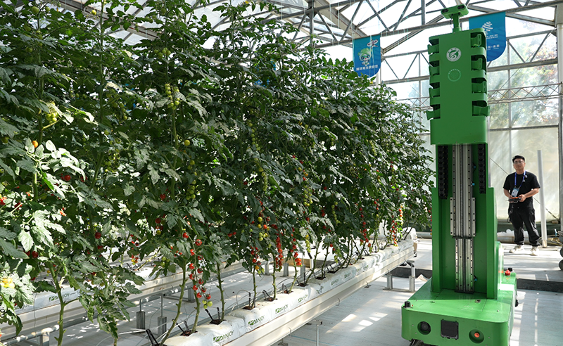 第27届中国（寿光）国际蔬菜科技博览会开幕，多款农用机器人上岗