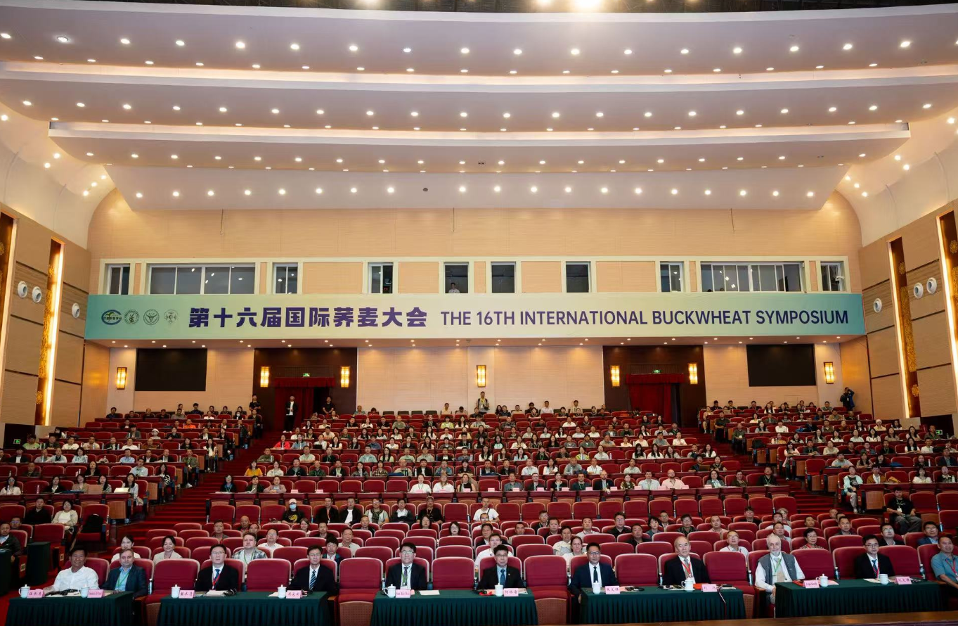 从“中国起源”到“全球方案”，第十六届国际荞麦大会在四川西昌召开
