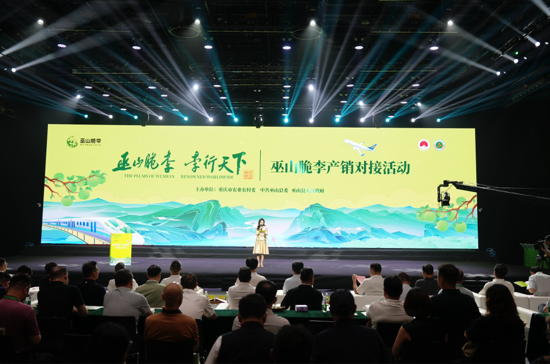 巫山脆李产销对接活动在京举办 巴渝名优土特产加速布局全国市场