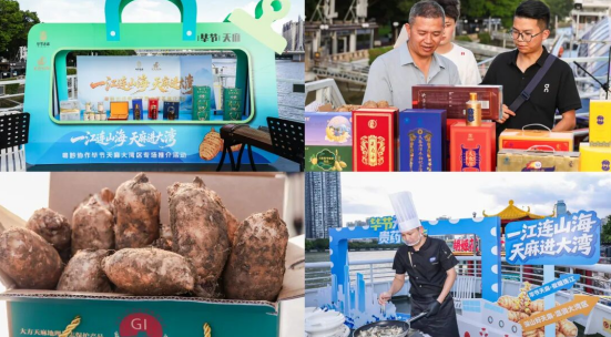 粤黔协作搭台 毕节天麻拓宽大湾区市场通道