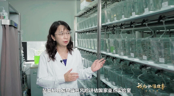 微记载片 | 超卓十年 • 我的环保故事