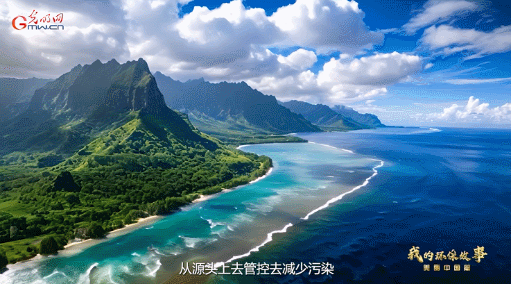 我的环保故事·秀雅中国篇④ | 洪燕：“蓝色轮回”形式为海洋保护孝敬“中国策”