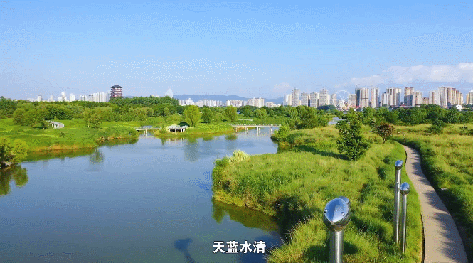非凡十年看武汉 | 卫星视角看“百鸟乐园”绿色答卷