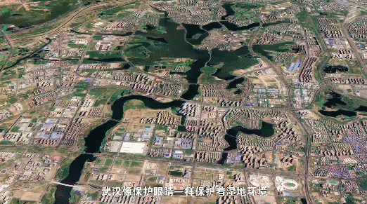 非凡十年看武汉 | 卫星视角看“百湖之市”湿地故事