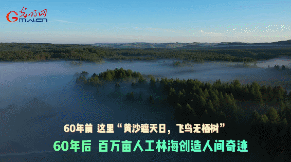 绿水青山“瞰”中国丨塞罕坝：开垦一片荒原，用信念种下一片森林