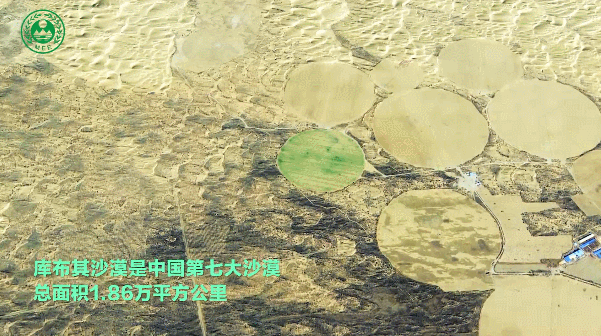 绿水青山“瞰”中国丨库布其：全球沙漠治理的“中国样本”