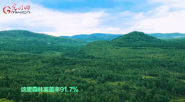 绿水青山“瞰”中国丨根河市：“多绿带多金”生态产业反哺护林人