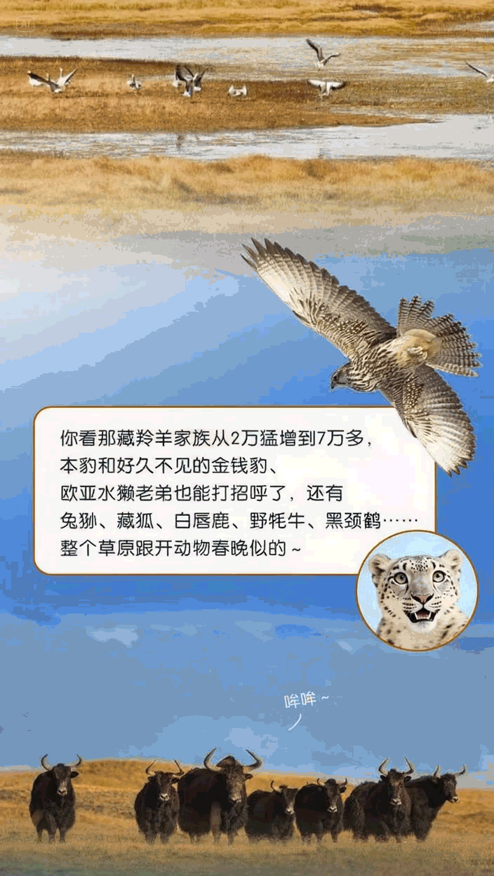 国际生物多样性日 | 动起来！跟着徐霞客来一场奇妙的“Park Walk”