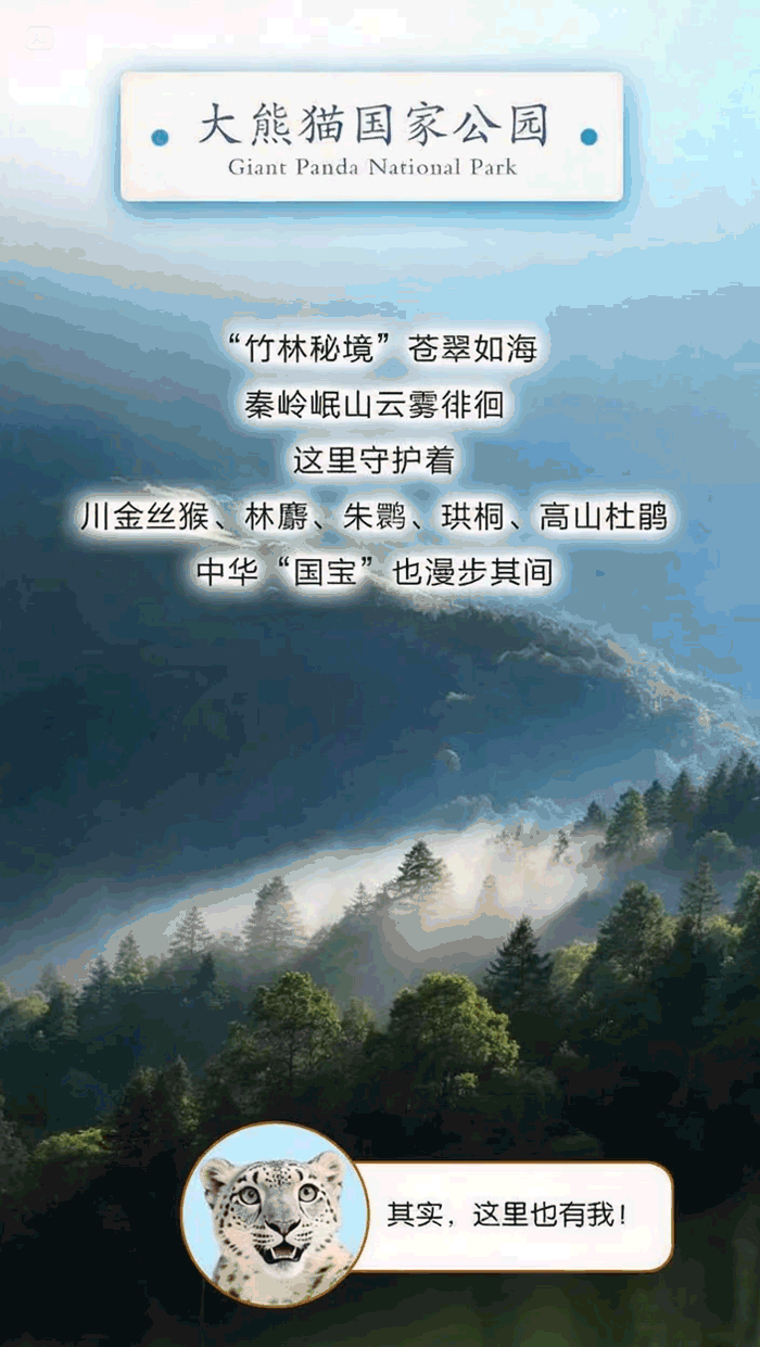 国际生物多样性日 | 动起来！跟着徐霞客来一场奇妙的“Park Walk”