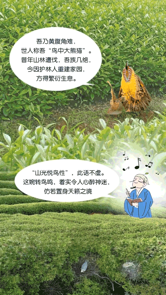 国际生物多样性日 | 动起来！跟着徐霞客来一场奇妙的“Park Walk”