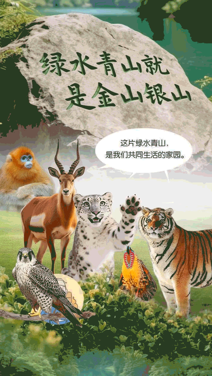 国际生物多样性日 | 动起来！跟着徐霞客来一场奇妙的“Park Walk”