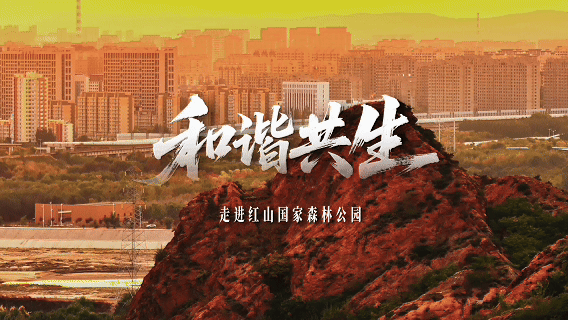 和谐共生｜赤峰红山上的树叶，凝结了几代人的心血