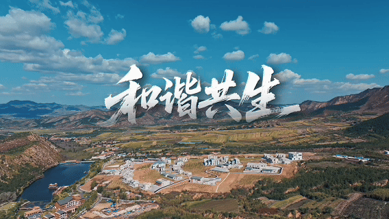 和谐共生｜马鞍山林场：守“绿”生“金”走新路