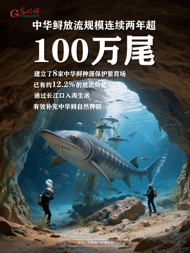 动态海报丨母亲河,豚“丁”旺!数说长江十年禁渔中期答卷 动态海报丨母亲河,豚“丁”旺!数说长江十年禁渔中期答卷