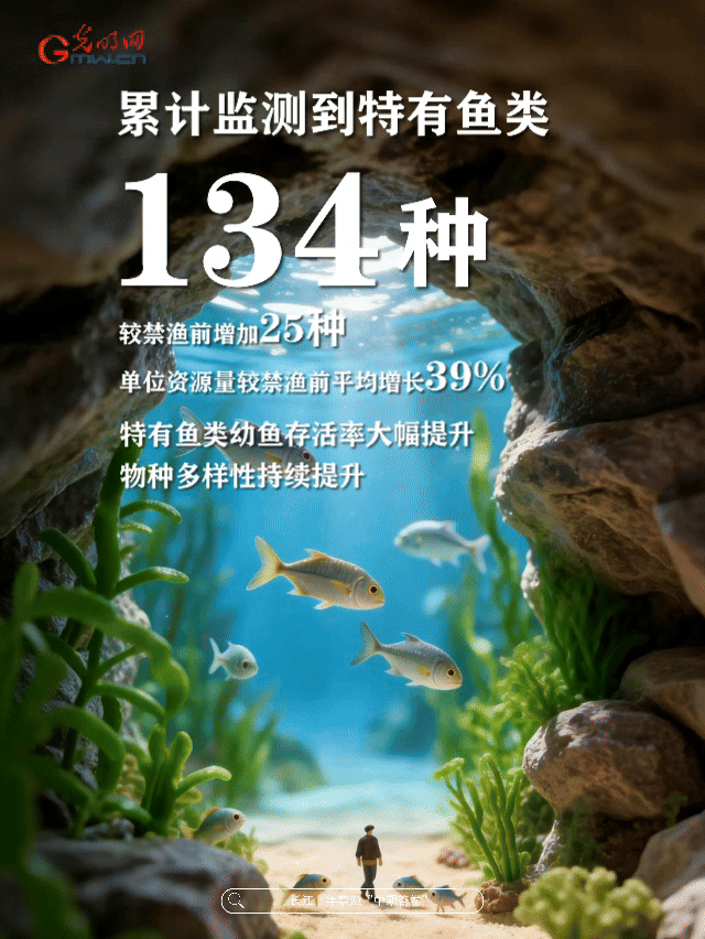 动态海报丨母亲河,豚“丁”旺!数说长江十年禁渔中期答卷 动态海报丨母亲河,豚“丁”旺!数说长江十年禁渔中期答卷