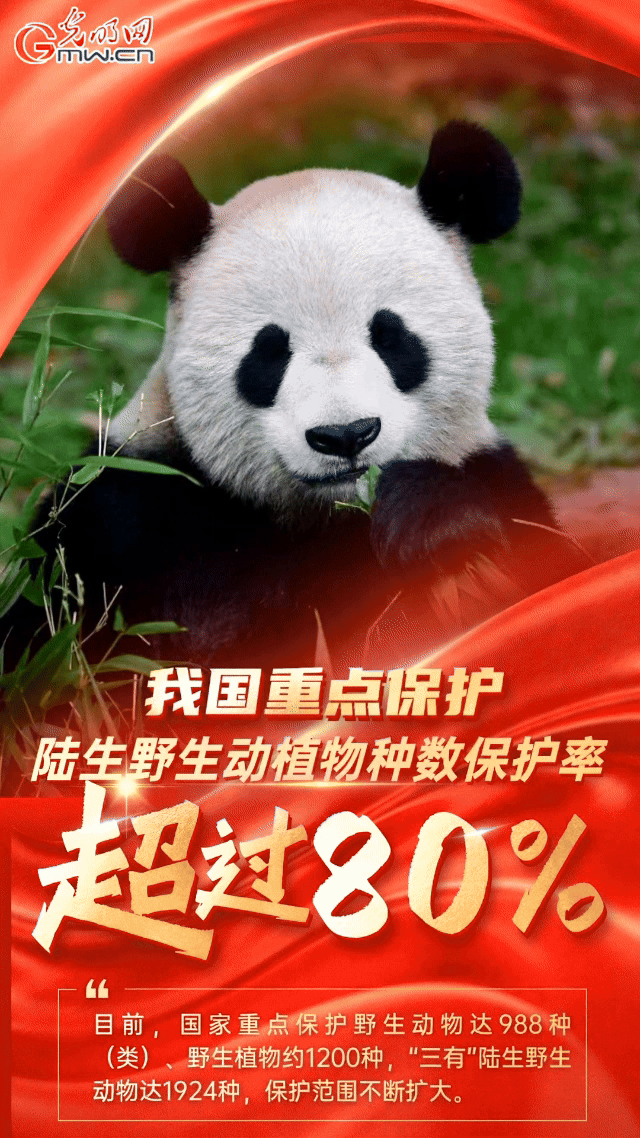 我国重点保护陆生野生动植物种数保护率超过80%