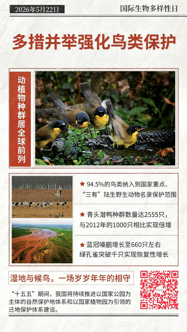 动态海报丨珍稀物种“组团”回归,中国答卷越发亮眼 动态海报丨珍稀物种“组团”回归,中国答卷越发亮眼