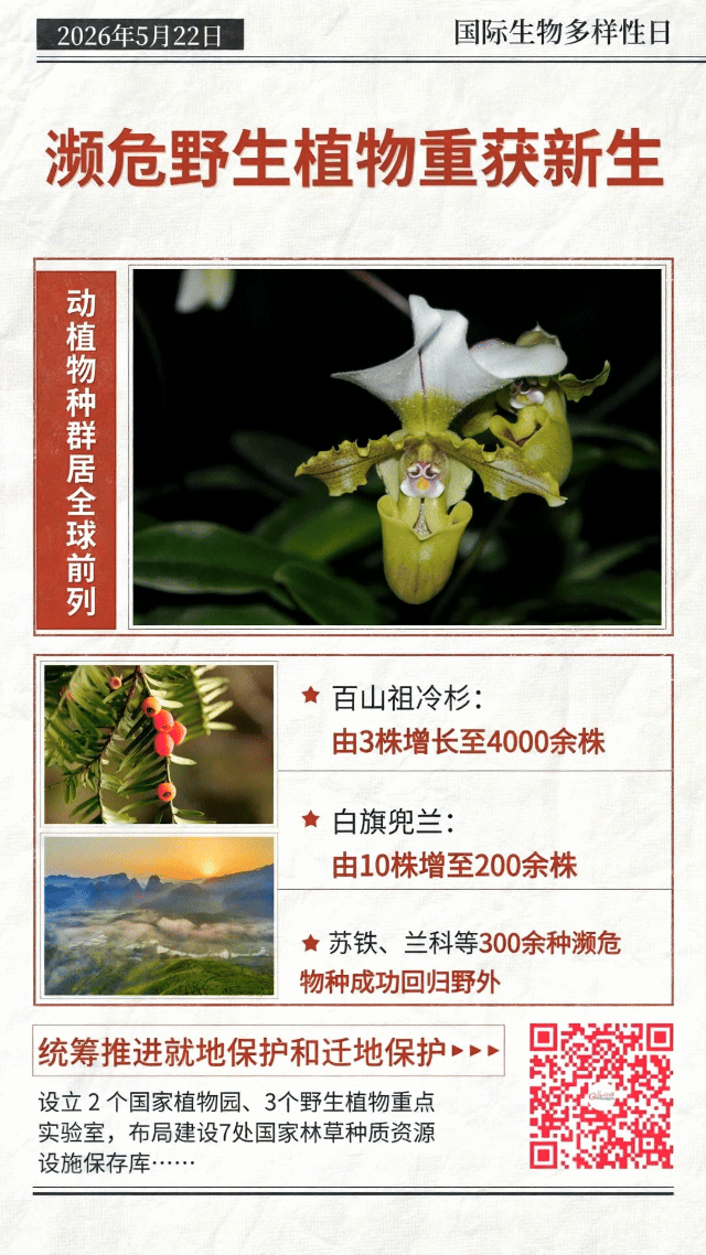 动态海报丨珍稀物种“组团”回归,中国答卷越发亮眼 动态海报丨珍稀物种“组团”回归,中国答卷越发亮眼