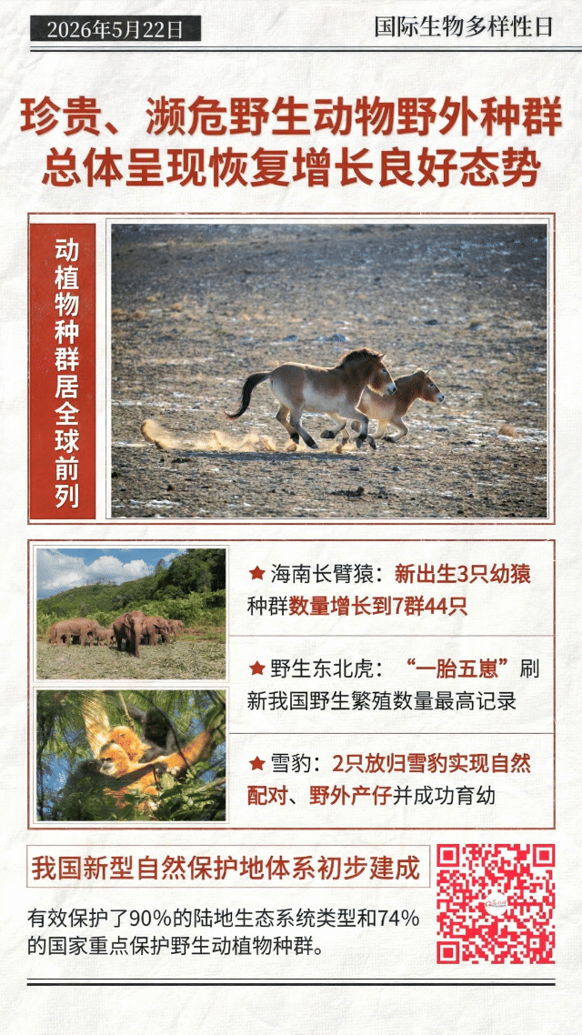 动态海报丨珍稀物种“组团”回归,中国答卷越发亮眼 动态海报丨珍稀物种“组团”回归,中国答卷越发亮眼