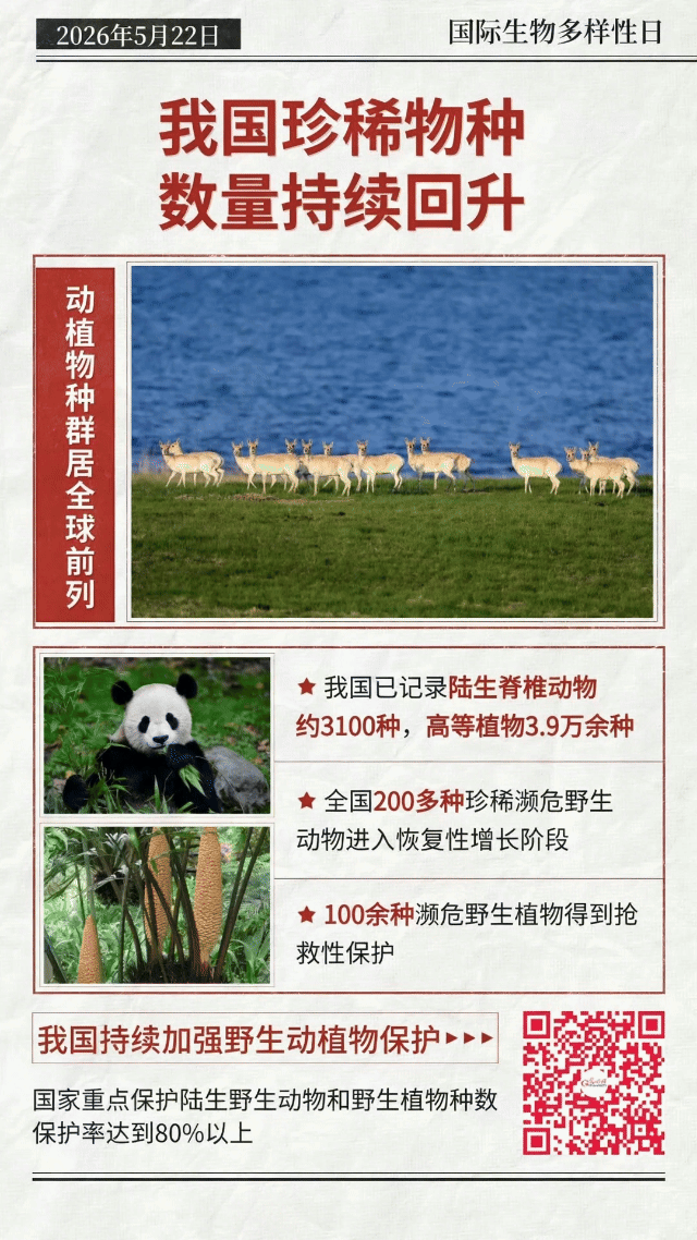 动态海报丨珍稀物种“组团”回归,中国答卷越发亮眼 动态海报丨珍稀物种“组团”回归,中国答卷越发亮眼
