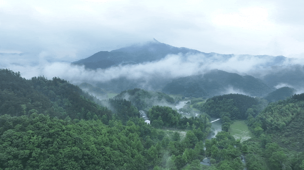 “两山”理念与美丽中国|千年窑火见证绿色蝶变 “两山”理念与美丽中国|千年窑火见证绿色蝶变