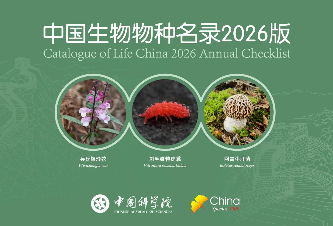 新增6154个！中国生物物种名录“上新”