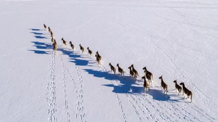三江源、海南热带雨林国家公园年内将正式设立