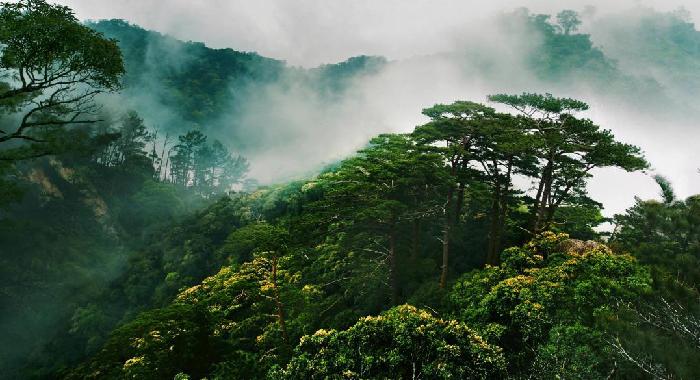 三江源、海南热带雨林国家公园年内将正式设立