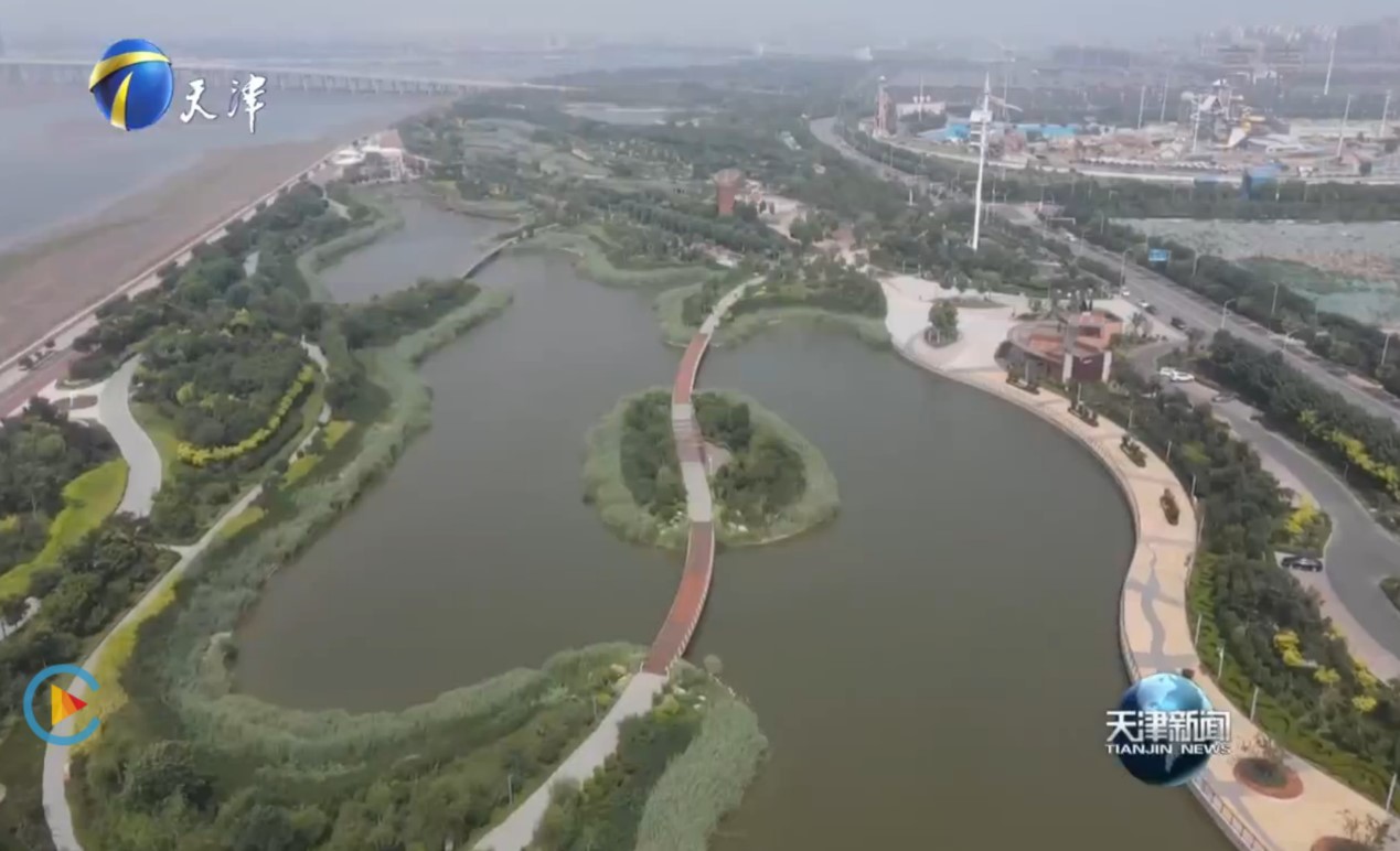 天津电视台重磅报道！亿利让盐碱地变身生态绿洲