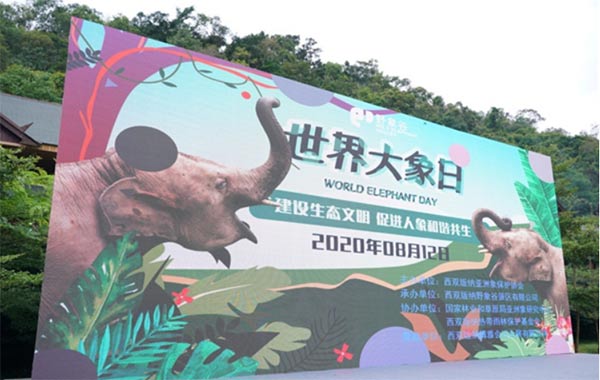 浪潮打造亚洲象生态保护系统