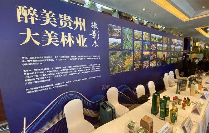“黔货出山”贵州林特产品产销对接会在京举行