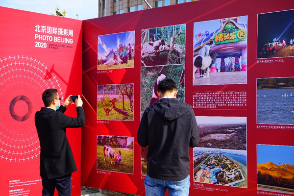 生态旅游升温 北京国际摄影周推介亿利两座生态公园