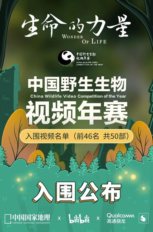 首届中国野生生物视频年赛入围作品名单公布