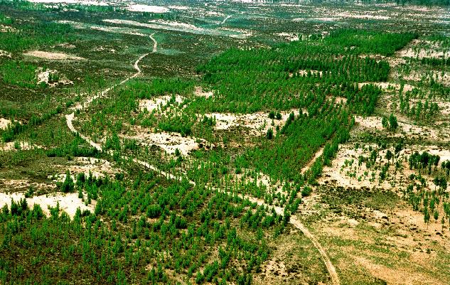 国家林草局：“十三五”期间我国风沙危害石漠化程度持续减轻