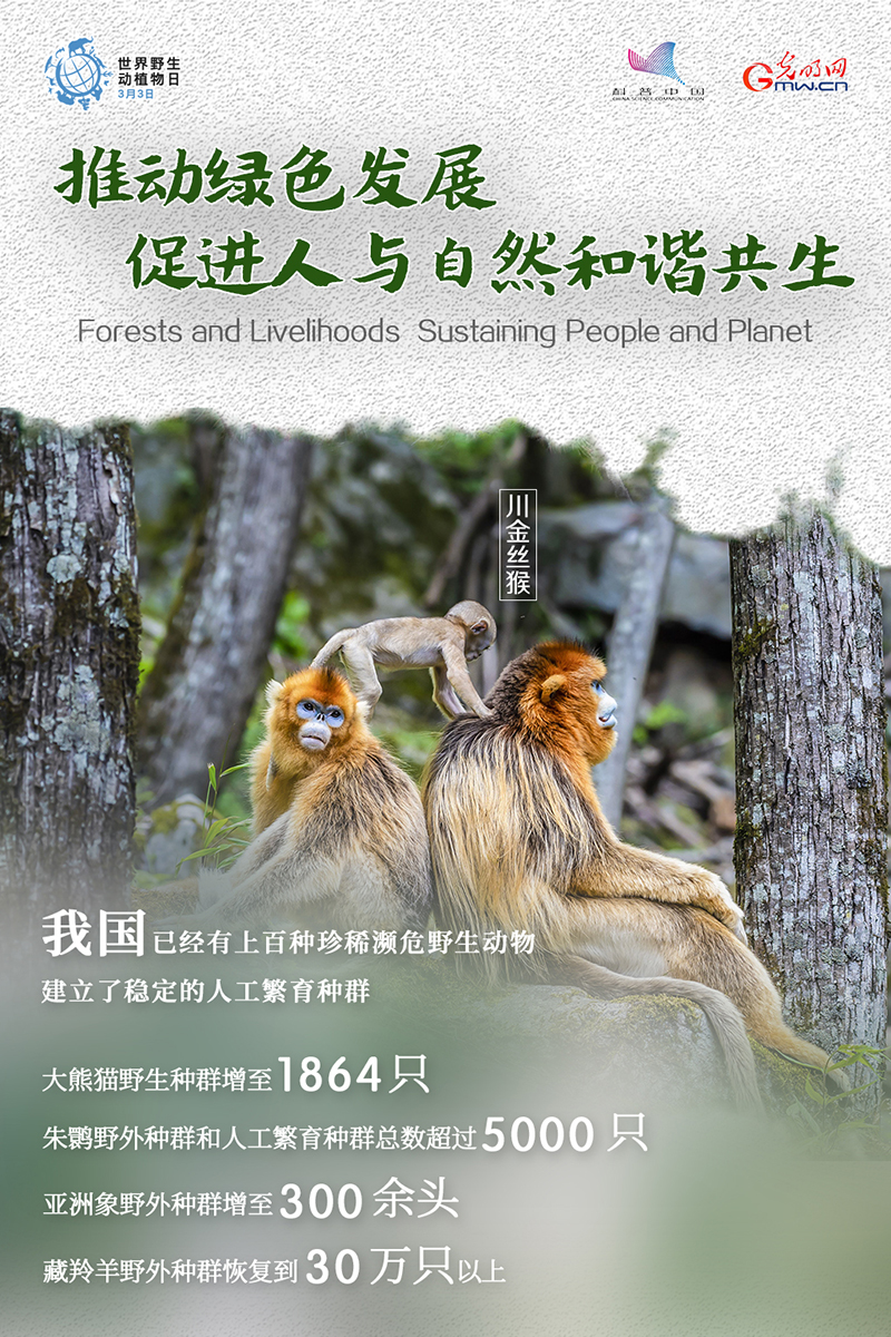 海报| 数解中国野生动植物保护，为TA们转发！