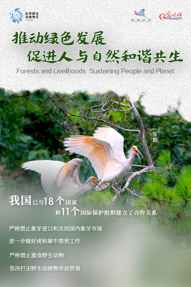 海报| 数解中国野生动植物保护，为TA们转发！