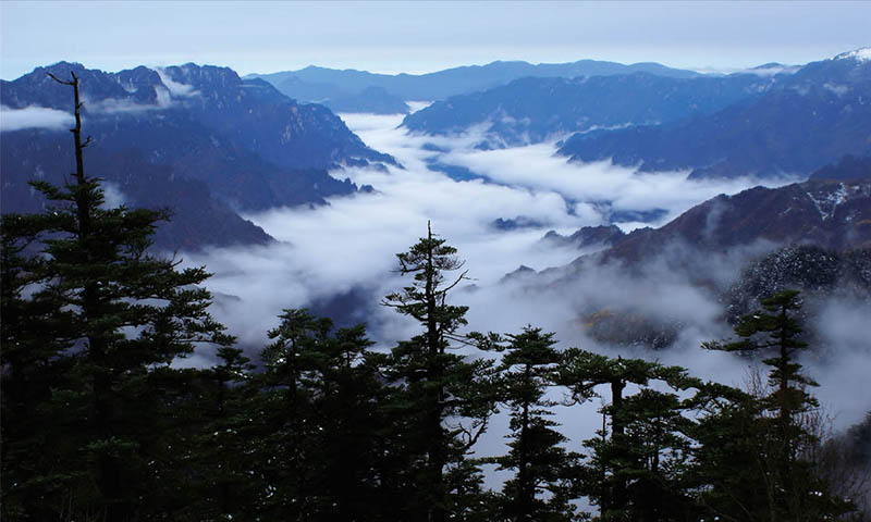 2020年中国自然保护地十件大事