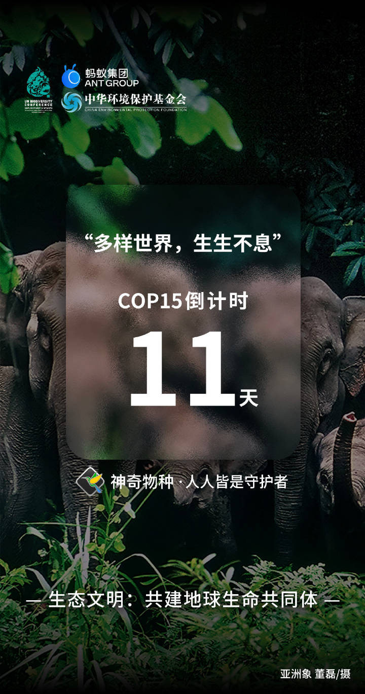 相约COP15丨倒计时第11天！