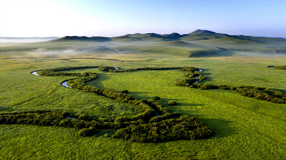 草原生态补奖实施10年：38.2亿亩草原得到休养生息