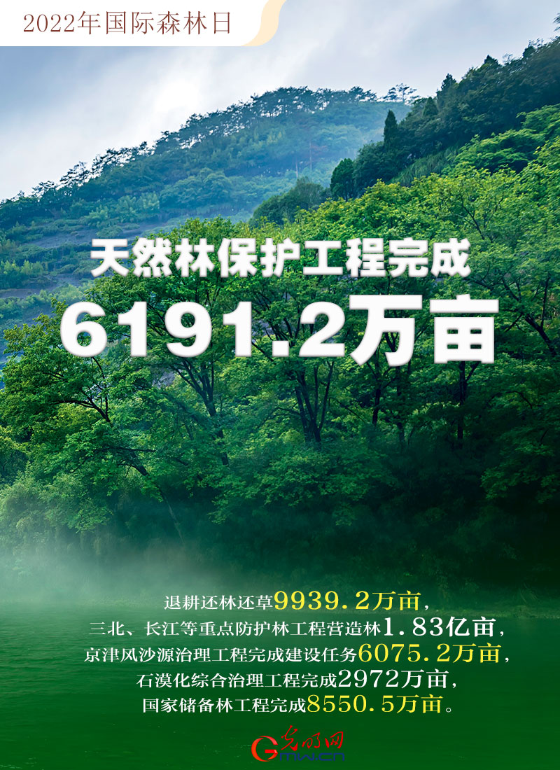 【海報】2022國際森林日：數讀全球增綠的中國貢獻