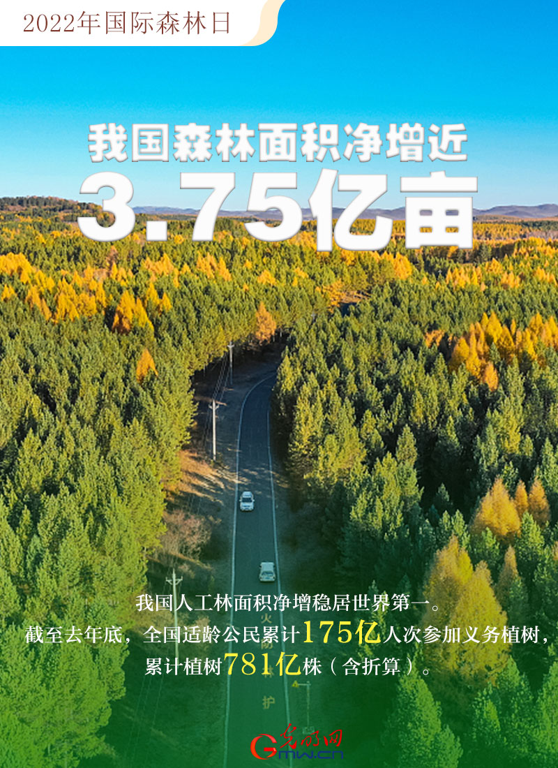 【海報】2022國際森林日：數讀全球增綠的中國貢獻