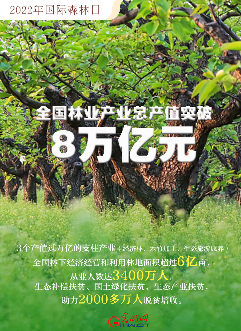 【海报】2022国际森林日：数读全球增绿的中国贡献
